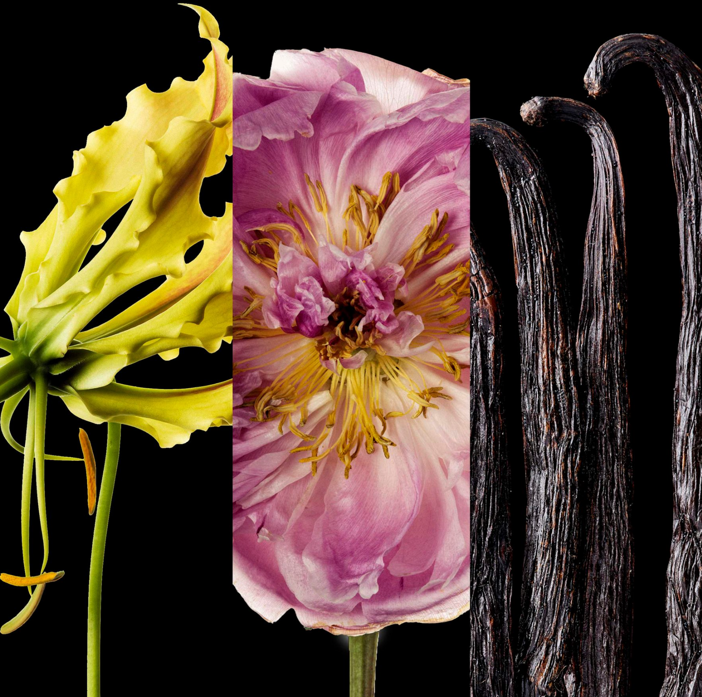 Good Girl Blush Carolina Herrera eau de parfum 80ml