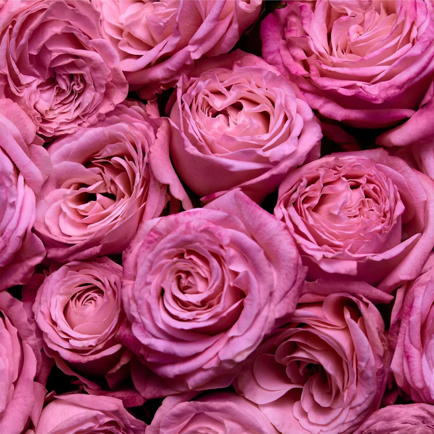 Escada Magnetism eau de parfum 75ml